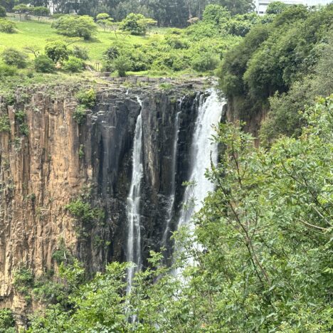 Hluhluwe-Imfolozi Nationalpark