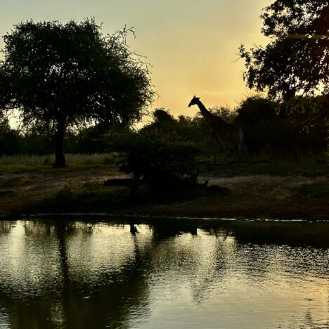 Big Five
